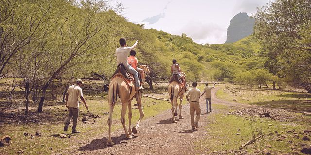 Camel ride activities  (3)